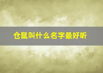 仓鼠叫什么名字最好听,仓鼠叫什么名字好听又可爱有霸气的