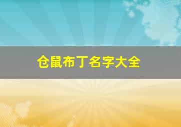 仓鼠布丁名字大全,仓鼠布丁名字大全可爱