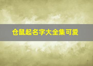 仓鼠起名字大全集可爱,100个好听仓鼠名字