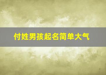 付姓男孩起名简单大气,付姓男孩起名简单大气三个字