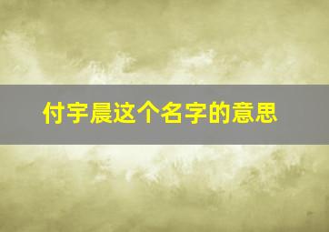 付宇晨这个名字的意思,付宇辰这个名字怎么样