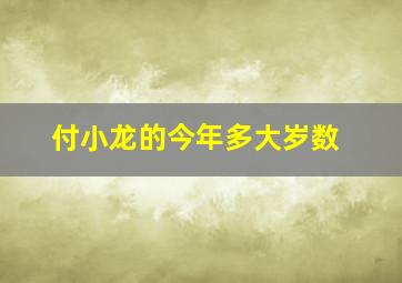 付小龙的今年多大岁数,付晓龙albert