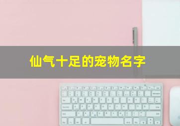 仙气十足的宠物名字,仙气十足的宠物名字男