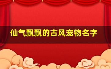 仙气飘飘的古风宠物名字,狸花猫名字古风关于狸花猫名字古风