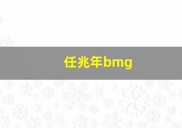 任兆年bmg,任兆年个人资料