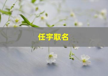 任宇取名,任宇什么好听