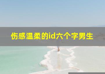 伤感温柔的id六个字男生,网抑云六个字伤感ID六个字伤感网名大全