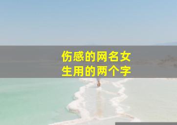 伤感的网名女生用的两个字,有点伤感的网名女两个字