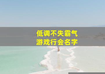 低调不失霸气游戏行会名字,男生简单高冷低调霸气超拽游戏名字