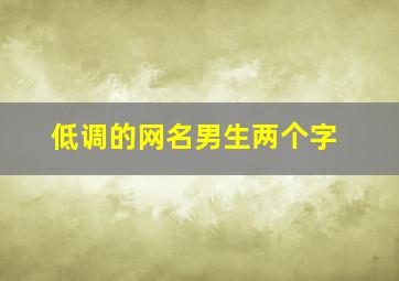 低调的网名男生两个字,低调的网名男生两个字高冷