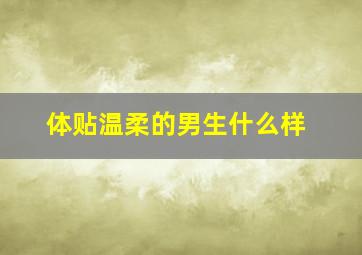 体贴温柔的男生什么样,温柔体贴的人