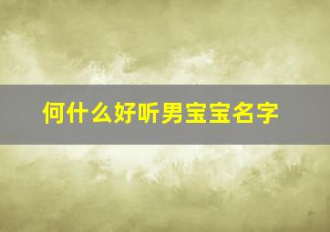 何什么好听男宝宝名字,取名姓何男孩