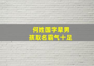 何姓国字辈男孩取名霸气十足,何姓男孩取名大全后面一个字