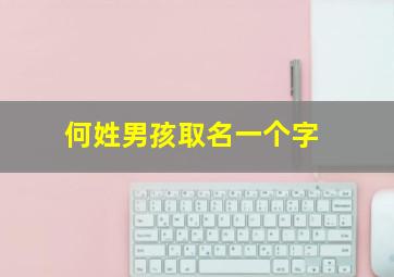 何姓男孩取名一个字,何姓男孩取名一个字的名字