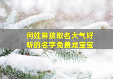 何姓男孩取名大气好听的名字免费龙宝宝,何姓男宝宝起名大全