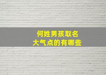 何姓男孩取名大气点的有哪些,何姓男孩取名大气好听的名字2024年