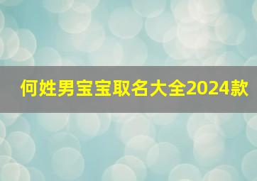 何姓男宝宝取名大全2024款,何姓男宝宝取名大全2024款两个字