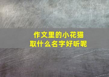 作文里的小花猫取什么名字好听呢