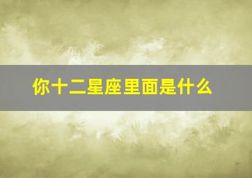 你十二星座里面是什么,你十二星座里面是什么意思