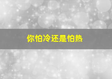 你怕冷还是怕热,你怕冷还是怕热?怎么高情商回复