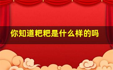 你知道粑粑是什么样的吗,粑粑的样子是什么