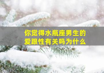 你觉得水瓶座男生的爱跟性有关吗为什么,水瓶男对你色说明什么