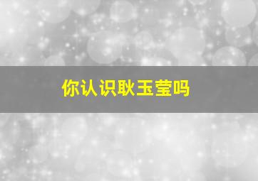 你认识耿玉莹吗,芜湖市11中摇号结果