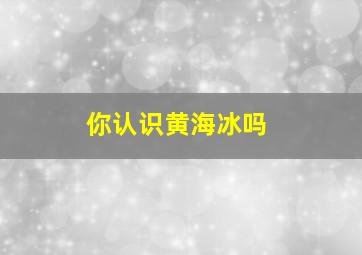 你认识黄海冰吗,黄海冰是哪里人