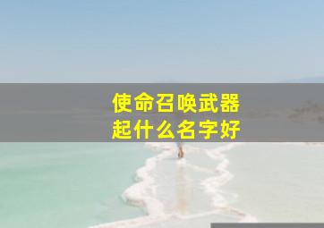 使命召唤武器起什么名字好,使命召唤武器取名字