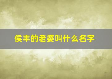 侯丰的老婆叫什么名字,侯丰结婚了吗