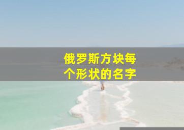 俄罗斯方块每个形状的名字,俄罗斯方块里方块的名字