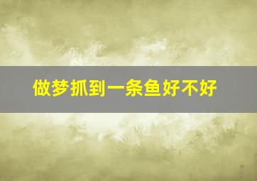 做梦抓到一条鱼好不好,做梦抓到一条鱼好不好呢