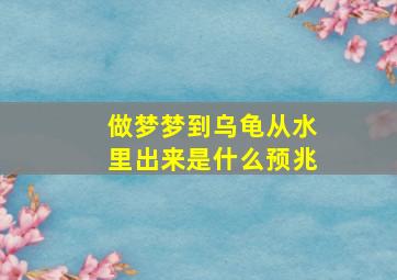 做梦梦到乌龟从水里出来是什么预兆