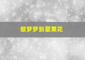 做梦梦到罂粟花,做梦梦到罂粟花什么预兆