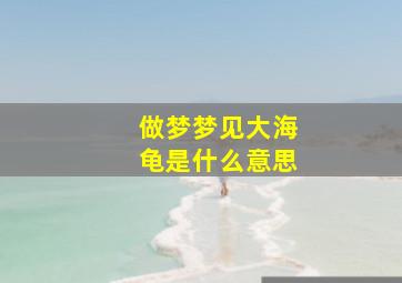 做梦梦见大海龟是什么意思,做梦梦见大海龟是什么意思啊