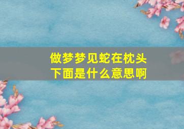 做梦梦见蛇在枕头下面是什么意思啊