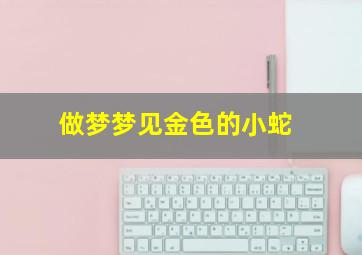 做梦梦见金色的小蛇,做梦梦见金色的小蛇是什么意思