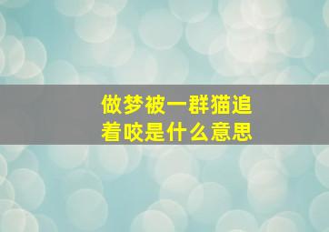 做梦被一群猫追着咬是什么意思,梦见被一群猫抓咬什么预兆