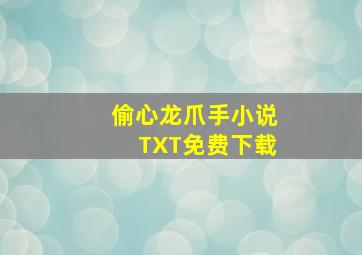 偷心龙爪手小说TXT免费下载,