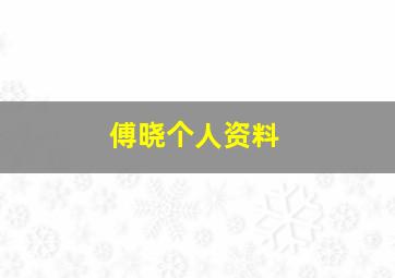 傅晓个人资料,傅晓原名