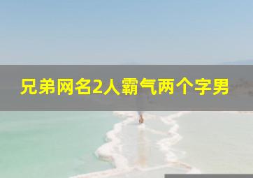 兄弟网名2人霸气两个字男,霸气的网名两个字男生霸气的网名两个字男生有哪些