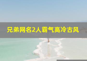 兄弟网名2人霸气高冷古风,兄弟网名2人霸气高冷高冷霸气单身两兄弟网名