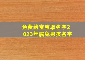 免费给宝宝取名字2023年属兔男孩名字,属兔的男孩取名带什么字好2023兔年男宝宝吉祥起名