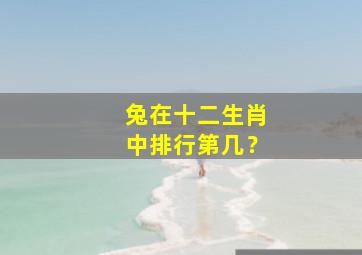 兔在十二生肖中排行第几？