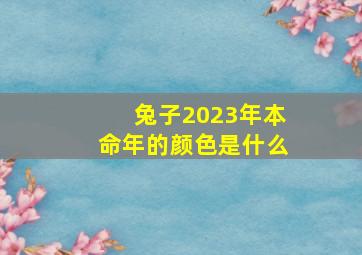 兔子2023年本命年的颜色是什么,2023年属兔本命年穿什么颜色衣服好白色合适吗