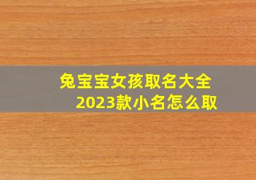 兔宝宝女孩取名大全2023款小名怎么取,2023兔宝宝有福气的乳名可爱好听的小名分享