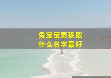 兔宝宝男孩取什么名字最好,兔宝宝小名字男孩叫什么好