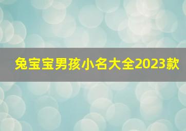 兔宝宝男孩小名大全2023款,2023兔宝宝最火乳名不叠字