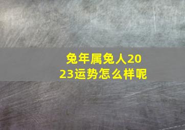 兔年属兔人2023运势怎么样呢,属兔人今年的运势2023