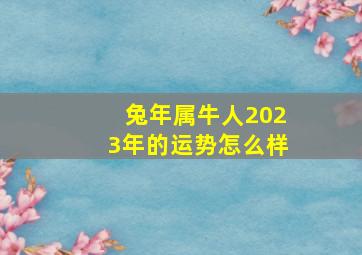 兔年属牛人2023年的运势怎么样,属兔人牛年运势2020运势详解